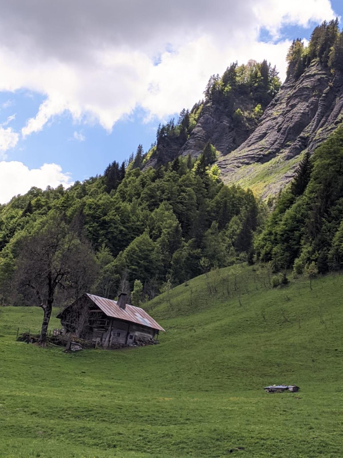 La Duchere 6 Personnes Le Plan La Giettaz Exteriér fotografie